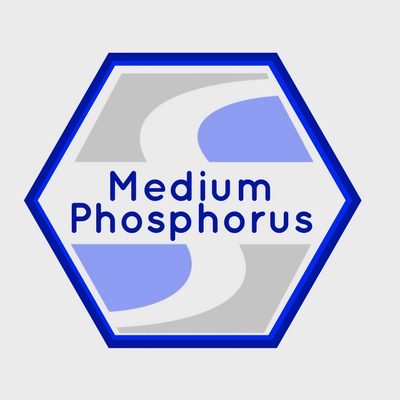 electroless nickel medium phosphorus